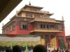 Shechen Monastery,Kathmandu