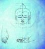 Buddha Face And Hands From Proportional Grid Drawings